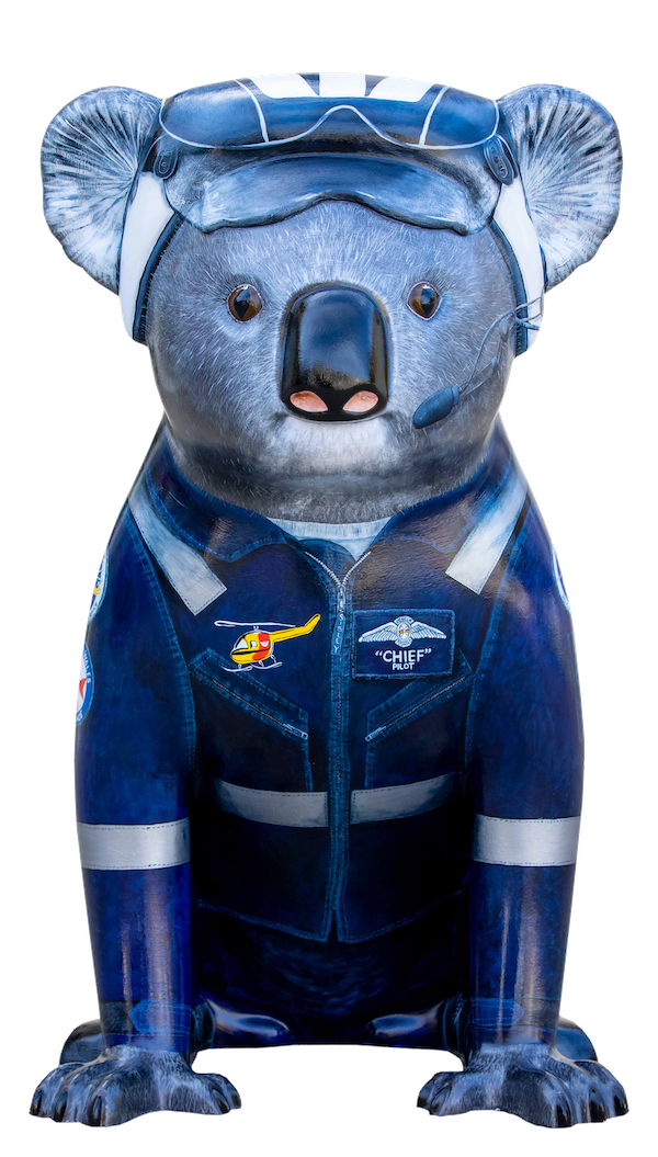 Chief Helicopter Pilot