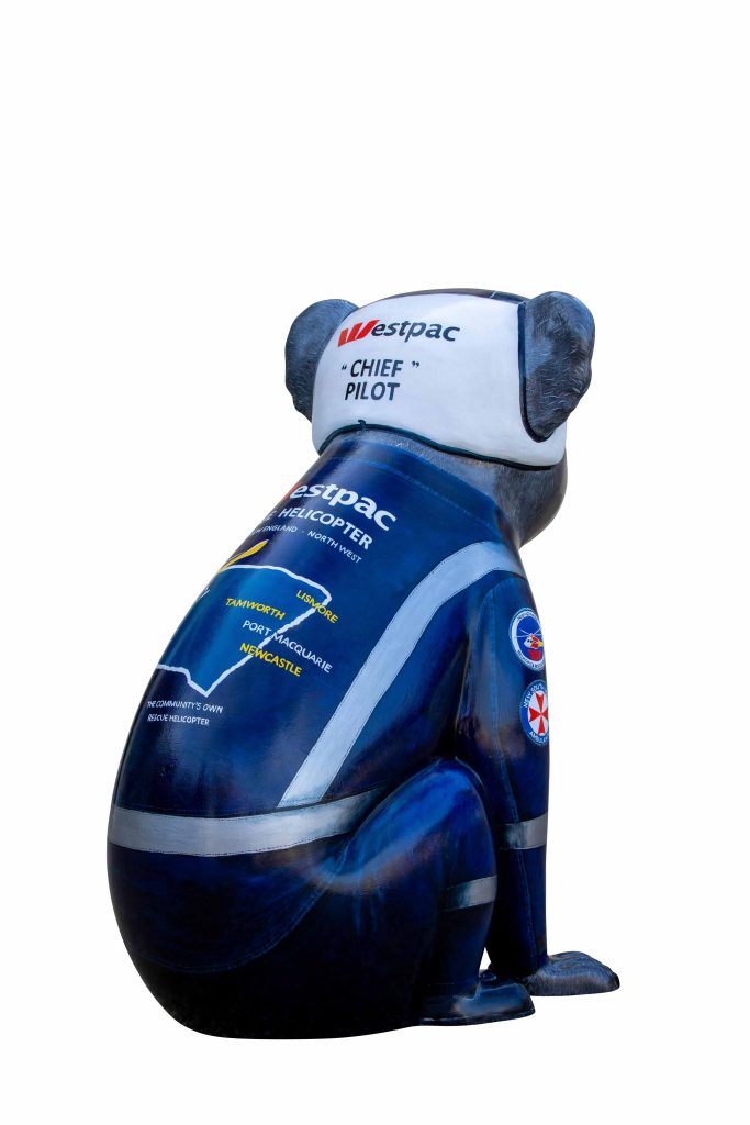 Chief Helicopter Pilot