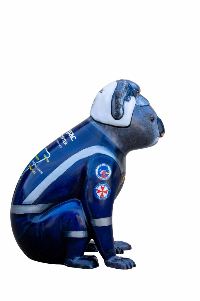 Chief Helicopter Pilot