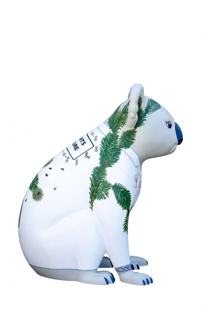 Wollemia, The Vital Scientist